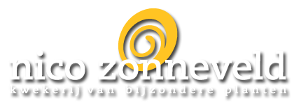 logo Nico Zonneveld